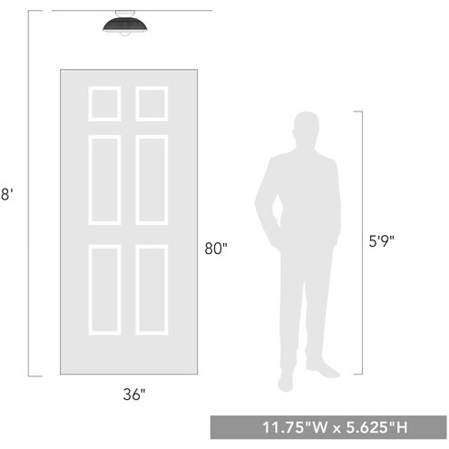 Crawford 1 Light 11.75 inch Matte Black Flush Mount Ceiling Light